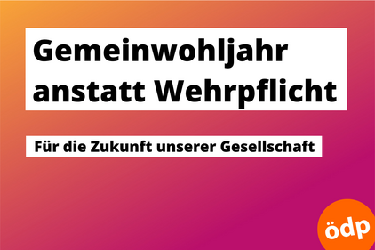 Gemeinwohljahr anstatt Wehrpflicht Gemeinwohljahr anstatt Wehrpflicht